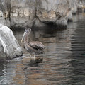 DSC01312.JPG
