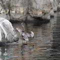 DSC01315.JPG