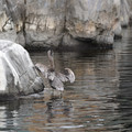 DSC01316.JPG