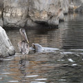 DSC01317.JPG