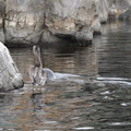 DSC01318.JPG