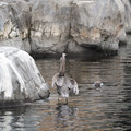 DSC01320.JPG