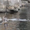 DSC01321.JPG