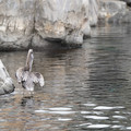 DSC01322.JPG