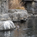 DSC01323.JPG
