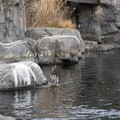 DSC01324.JPG