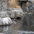 DSC01325.JPG