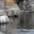 DSC01326.JPG