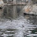 DSC01327.JPG