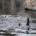 DSC01328.JPG