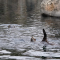 DSC01329.JPG
