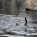 DSC01330.JPG