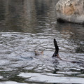 DSC01331.JPG
