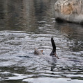 DSC01332.JPG