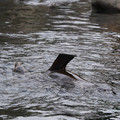 DSC01336.JPG
