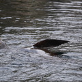DSC01341.JPG