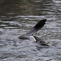 DSC01345.JPG
