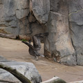 DSC01352.JPG