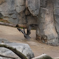 DSC01353.JPG