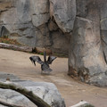 DSC01354.JPG