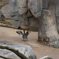 DSC01355.JPG