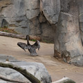 DSC01356.JPG