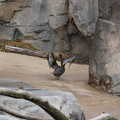 DSC01357.JPG