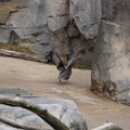 DSC01358.JPG