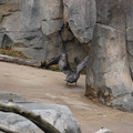 DSC01359.JPG