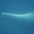 DSC01360.JPG