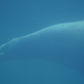 DSC01361.JPG