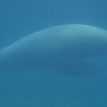 DSC01362.JPG