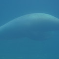 DSC01363.JPG