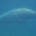 DSC01364.JPG
