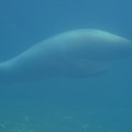 DSC01365.JPG