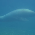 DSC01366.JPG