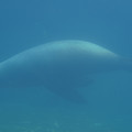 DSC01367.JPG