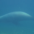 DSC01368.JPG