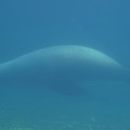 DSC01369.JPG