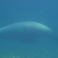 DSC01370.JPG