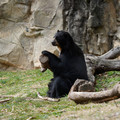 DSC01372.JPG