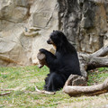 DSC01373.JPG