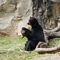 DSC01375.JPG