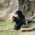 DSC01376.JPG