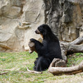 DSC01377.JPG