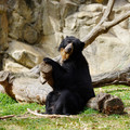 DSC01378.JPG