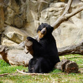 DSC01379.JPG