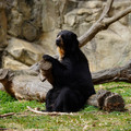 DSC01380.JPG