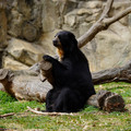 DSC01381.JPG