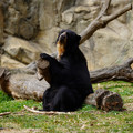 DSC01382.JPG